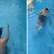 Sempat Diisukan Sakit, Purbaya Pamer Momen lagi Berenang
