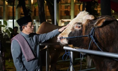 Tahun Ini Menag Bagikan Daging Kurban untuk Panti Asuhan hingga Perguruan Tinggi