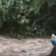 Tiga Wisatawan Dikabarkan Terseret Arus saat Banjir di Curug Cisadane