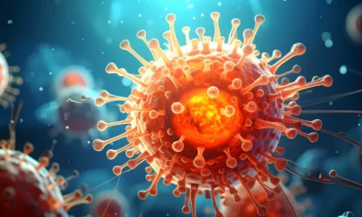 WHO Sebut Wabah Hantavirus Bukan Awal Pandemi Baru