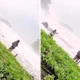 Wisatawan Garut Tewas Terseret Ombak Pantai Madasari saat sedang Foto Foto