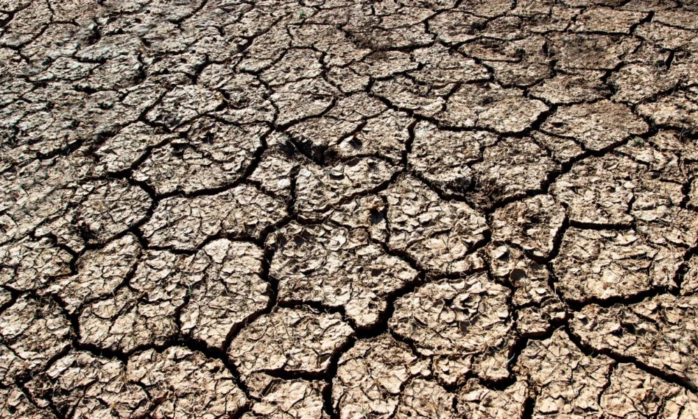 BMKG Prediksi El Nino bakal Aktif dan Bertahan sampai