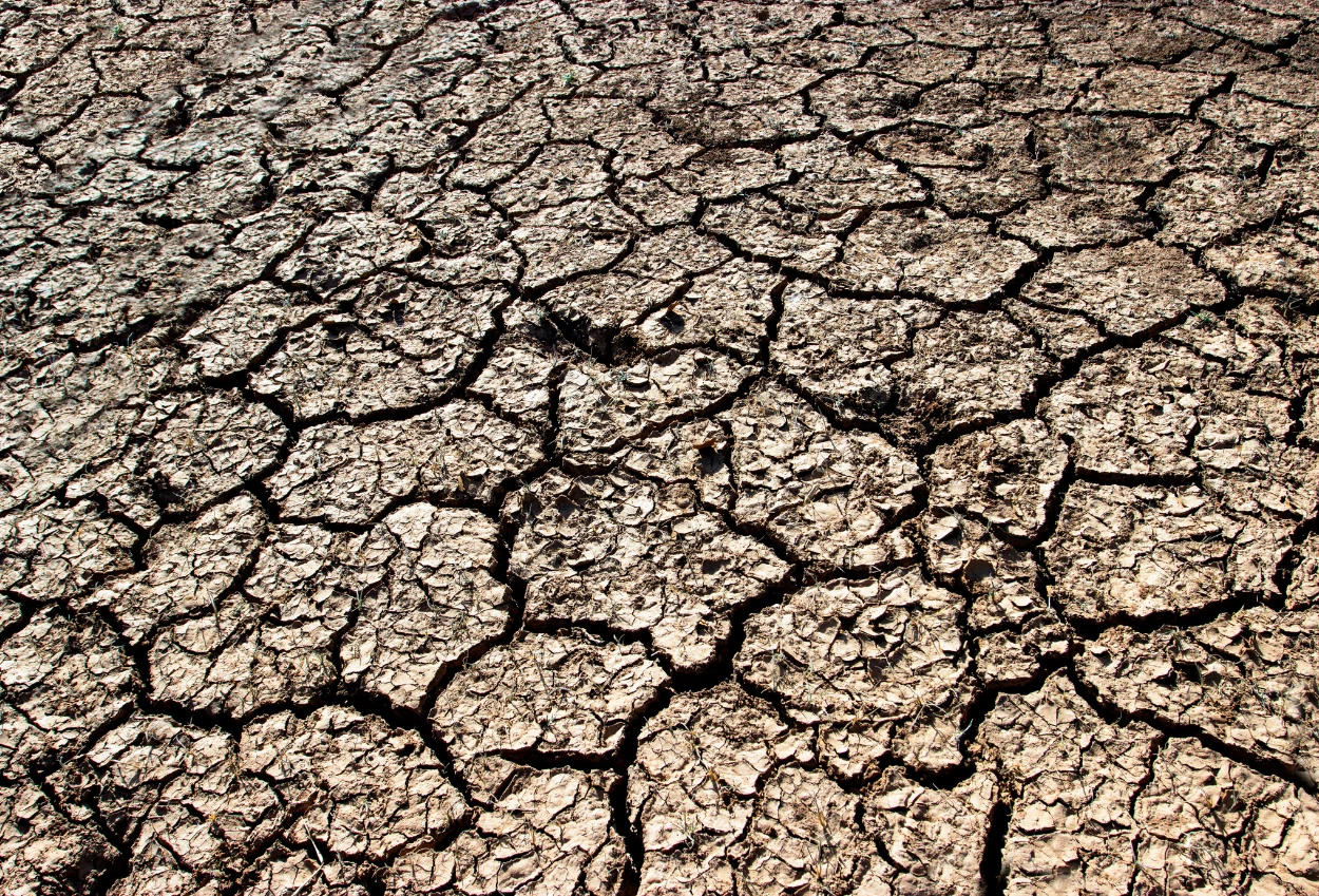 BMKG Prediksi El Nino bakal Aktif dan Bertahan sampai