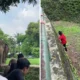 Viral Bocah Perempuan Jatuh ke Kandang Gajah Ragunan