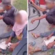 Viral! Lansia di Sragen Minta Tebusan Rp1 Juta usai Temukan Dompet