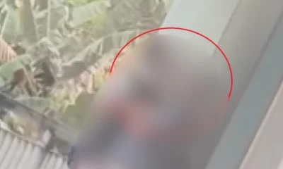 Viral! Mahasiswa Sesama Jenis Keciduk Ciuman di Lingkungan Kampus PNJ
