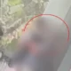Viral! Mahasiswa Sesama Jenis Keciduk Ciuman di Lingkungan Kampus PNJ