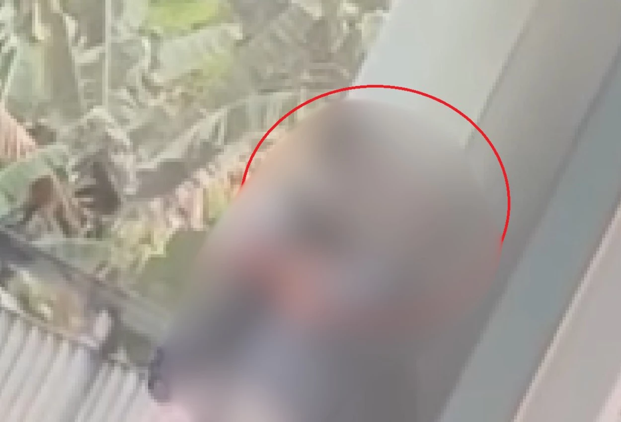 Viral! Mahasiswa Sesama Jenis Keciduk Ciuman di Lingkungan Kampus PNJ