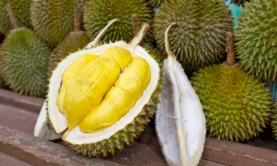 12 Cara Memilih Durian yang Manis dan Dagingnya Tebal