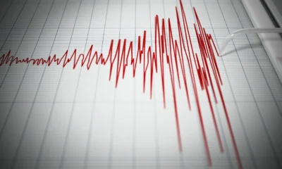 BMKG Gempa M 6,2 di Pulau Doi Maluku Utara Tak Berpotensi Tsunami
