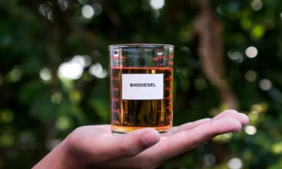 Daftar Kendaraan yang Cocok pakai Biodiesel B50 (1)