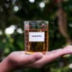 Daftar Kendaraan yang Cocok pakai Biodiesel B50 (1)