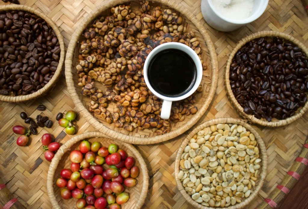 Fakta Menarik Lainnya tentang Kopi Luwak