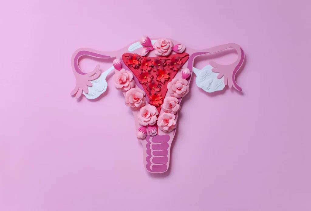 Kapan Masa Subur Wanita setelah Mens Berikut Cara Menghitungnya (5) (2)