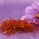 Manfaat Saffron untuk Wajah, Cocok bagi Semua Jenis Kulit!