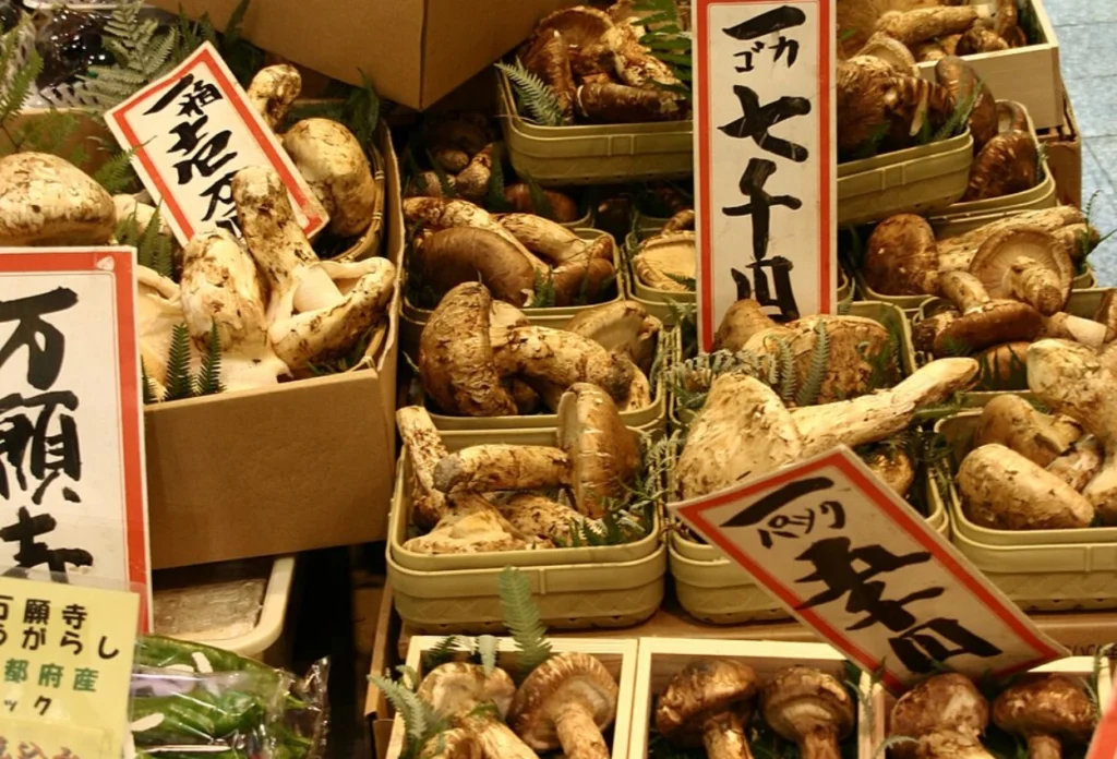 Mengenal Jamur Matsutake, Jamur Liar yang Harganya Rp33 Juta per Setengah Kilo (4)