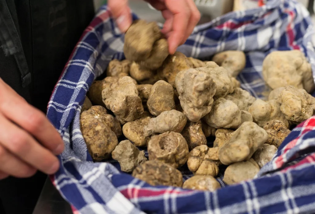 Mengenal White Truffle, Jamur yang Bisa Dimakan dan Dijadikan Skincare (2)