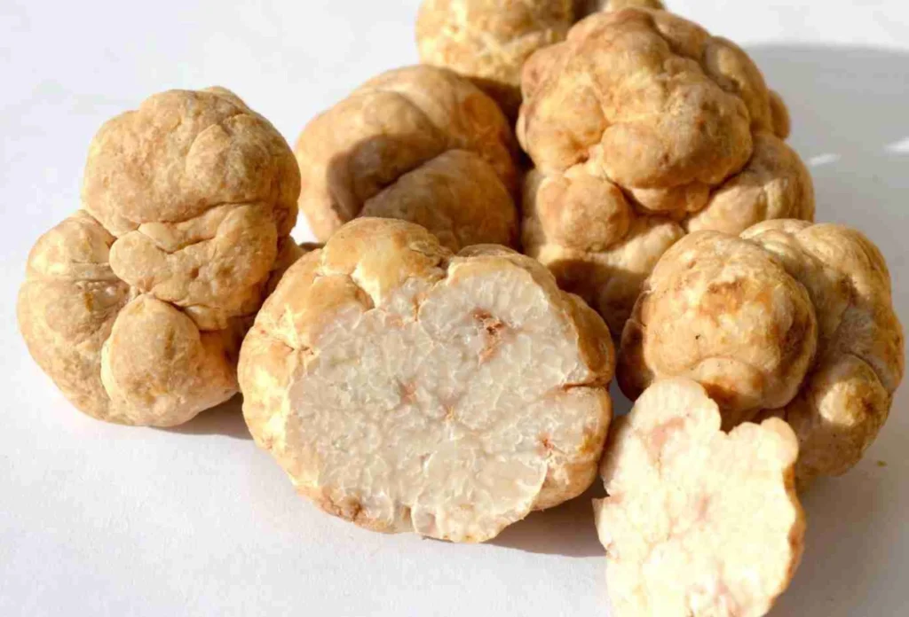 Mengenal White Truffle, Jamur yang Bisa Dimakan dan Dijadikan Skincare (3)
