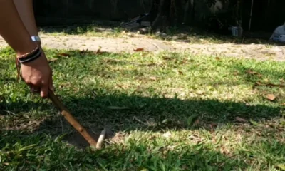 Permainan Buta Lele Asal Kalimantan, Sejarah hingga Cara Bermainnya