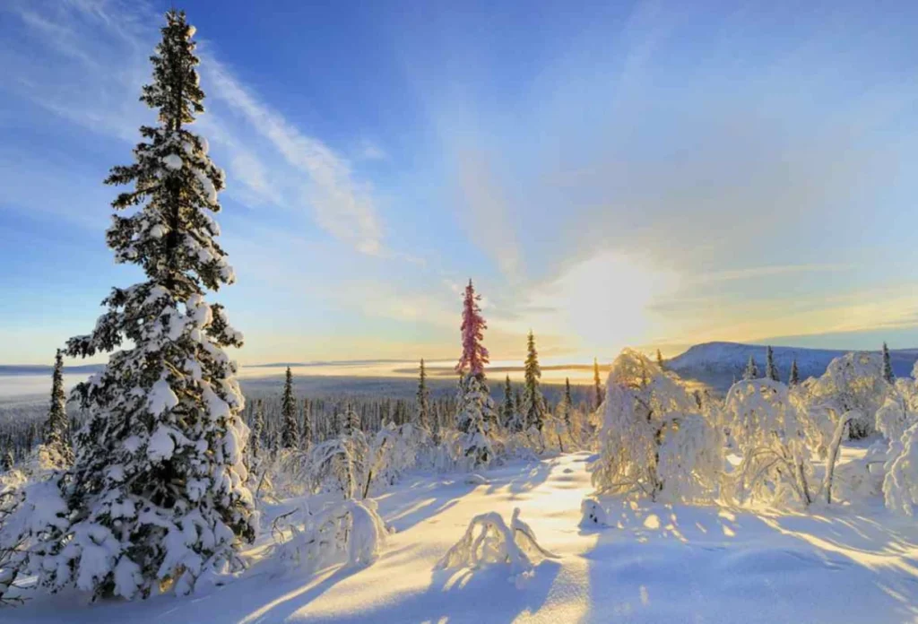 Swedia
