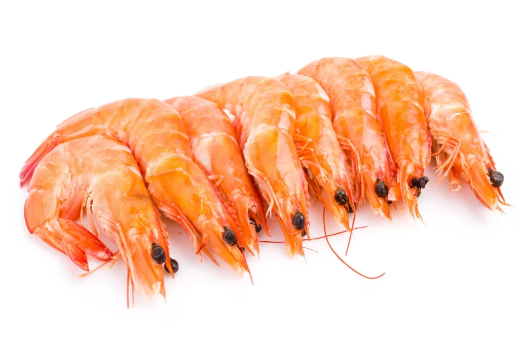 Udang mengandung antioksidan