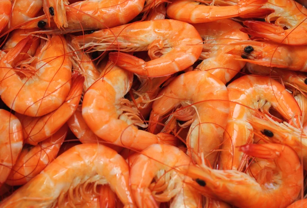 Udang segar