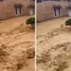 Banjir Padang Rendam Ribuan Rumah Warga, Ketinggian Capai Satu Meter Lebih