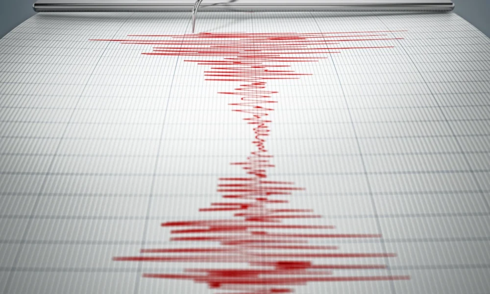 Gempa NTT M 7,7, BMKG Sempat Keluarkan Peringatan Tsunami