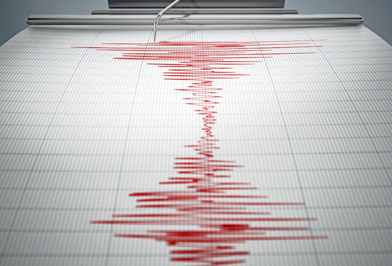 Gempa NTT M 7,7, BMKG Sempat Keluarkan Peringatan Tsunami
