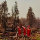 Karhutla Kalimantan Ini Daftar Wilayah yang Terdampak