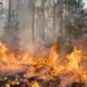 Karhutla di Papua 2.496 Hektare Lahan Terbakar, Fakfak Paling Parah