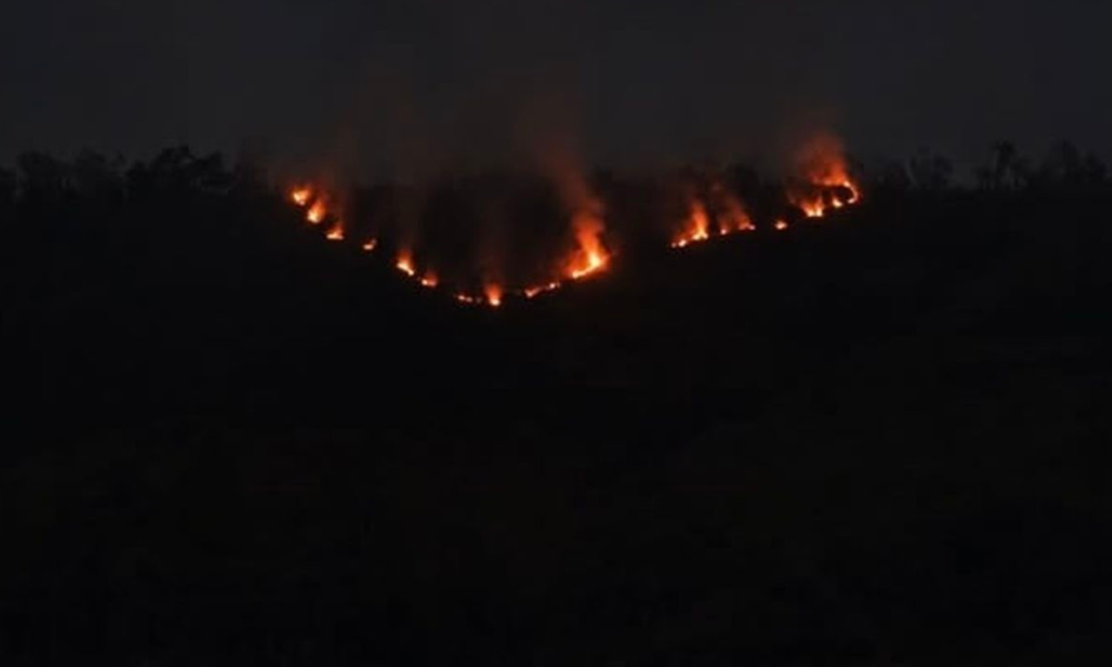 Kebakaran Hutan Bromo Masuk Hari Kedua, Tiga Akses Wisata Ditutup Sementara