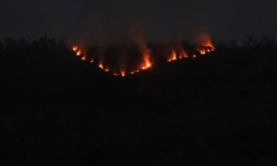 Kebakaran Hutan Bromo Masuk Hari Kedua, Tiga Akses Wisata Ditutup Sementara