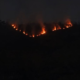 Kebakaran Hutan Bromo Masuk Hari Kedua, Tiga Akses Wisata Ditutup Sementara