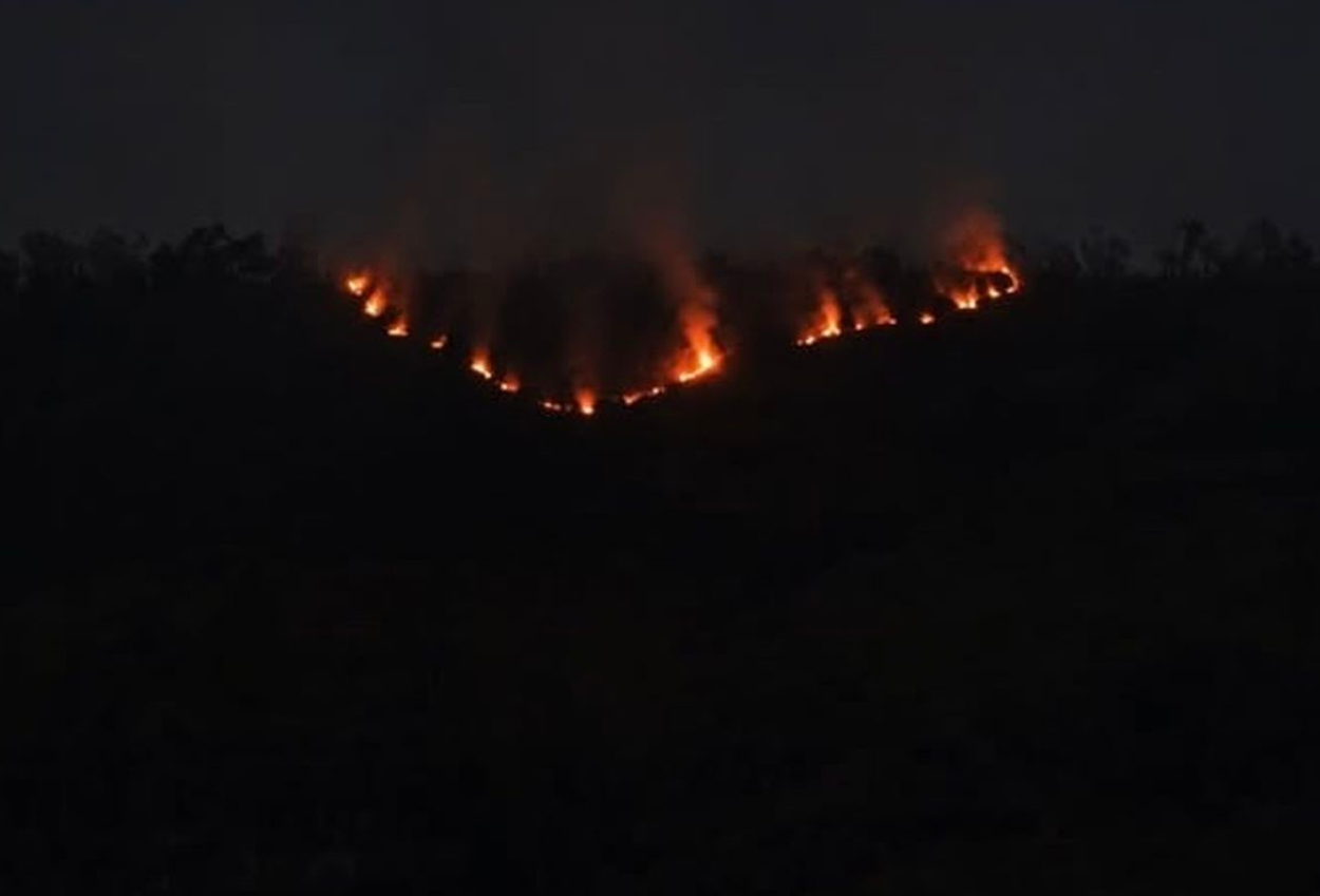Kebakaran Hutan Bromo Masuk Hari Kedua, Tiga Akses Wisata Ditutup Sementara