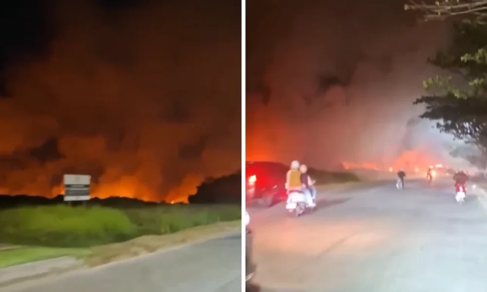Kebakaran Landa Tallasa City Makassar, Hampir 2 Hektare Lahan Terbakar