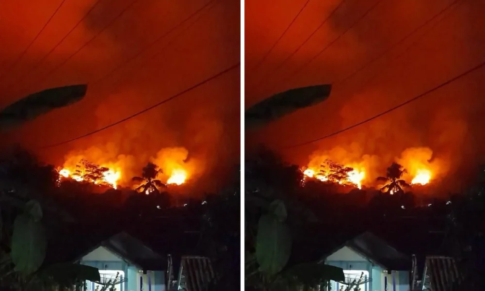 Kebakaran di Gunung Geulis Sukabumi, 4 Hektare Lahan Hangus