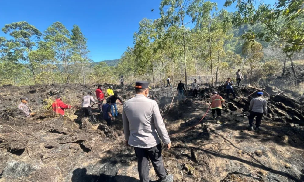 Kebakaran di Hutan Gunung Batur Bali, Lahan Seluas 2 Hektare Hangus