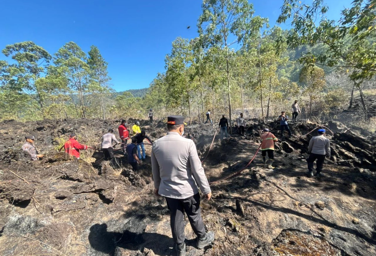 Kebakaran di Hutan Gunung Batur Bali, Lahan Seluas 2 Hektare Hangus