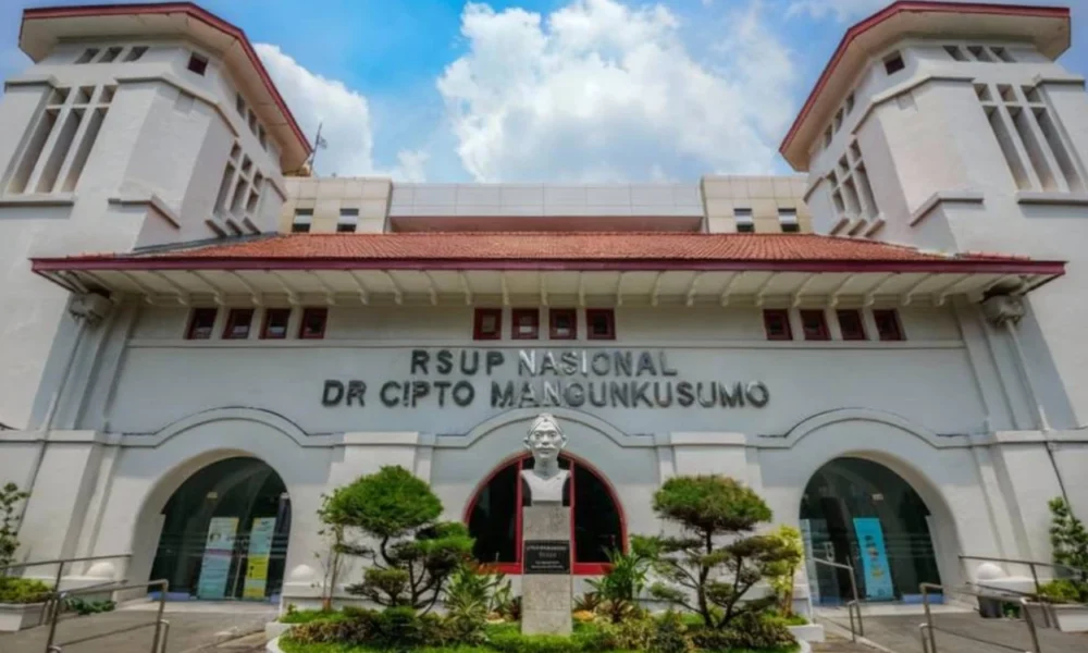 Kemenkes Ungkap Duduk Perkara Pasien yang Viral Menunggu 8 Jam di RSCM