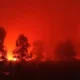 Taman Nasional Way Kambas di Lampung Timur Terbakar