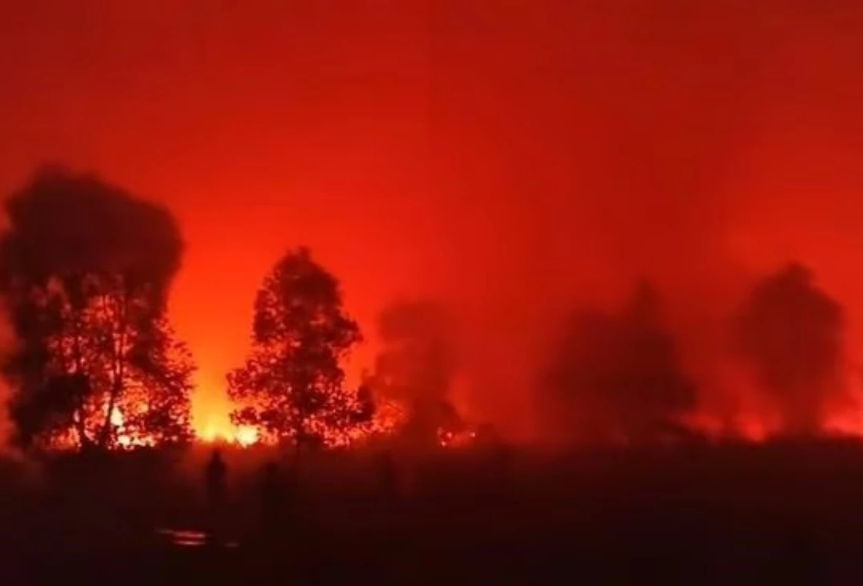 Taman Nasional Way Kambas di Lampung Timur Terbakar