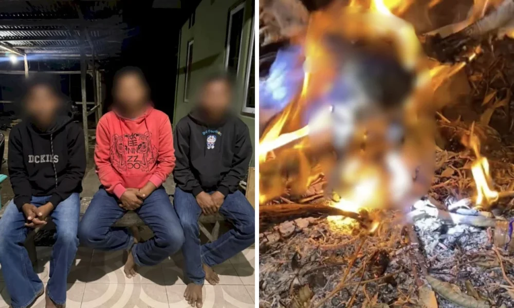 Tiga Pria di NTT Bakar Burung Hantu Hidup Hidup, Percaya Bisa Usir Ancaman Sihir