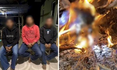 Tiga Pria di NTT Bakar Burung Hantu Hidup Hidup, Percaya Bisa Usir Ancaman Sihir