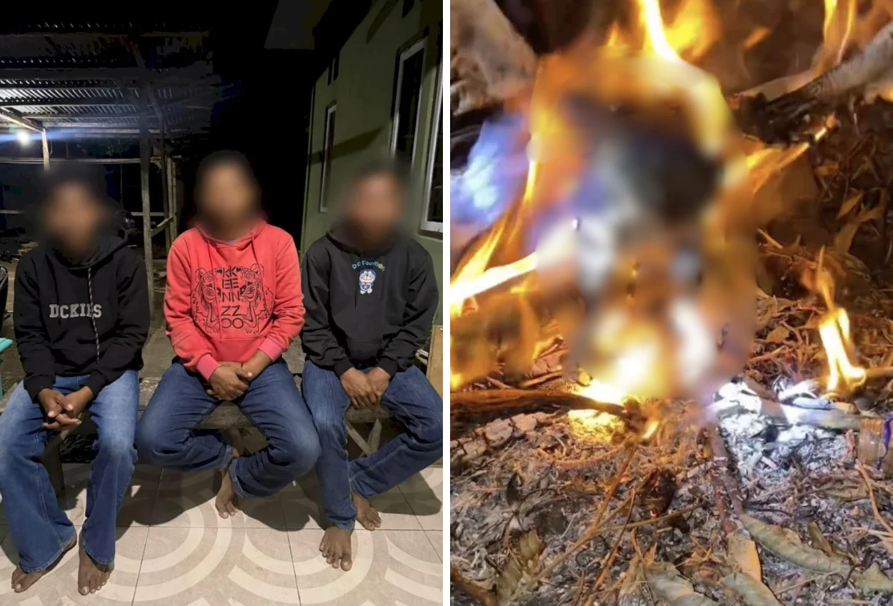 Tiga Pria di NTT Bakar Burung Hantu Hidup Hidup, Percaya Bisa Usir Ancaman Sihir