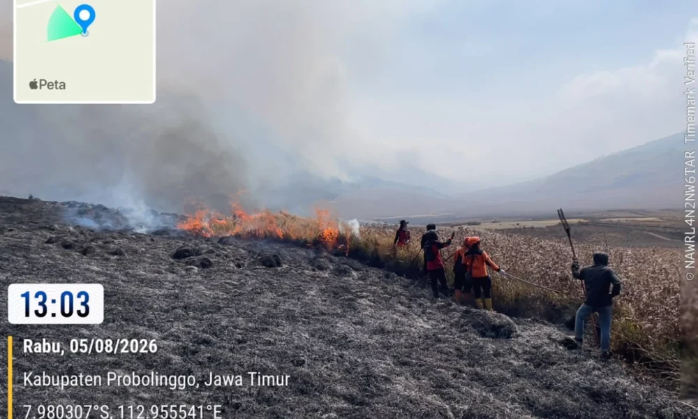Update Kebakaran di Bromo, 127 Hektare Lahan Hangus