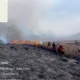 Update Kebakaran di Bromo, 127 Hektare Lahan Hangus