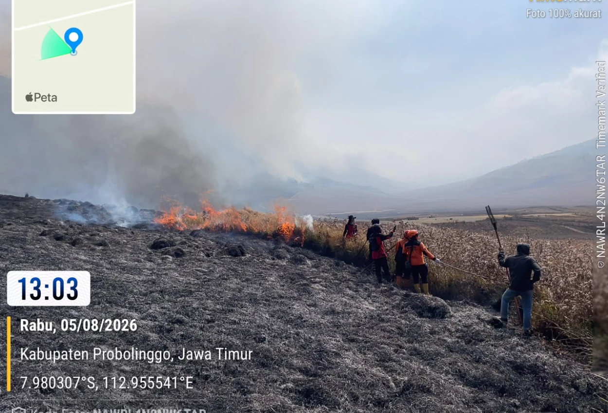 Update Kebakaran di Bromo, 127 Hektare Lahan Hangus