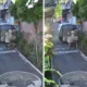 Viral! Dua WNA Terekam Mesum di Pekarangan Rumah Warga di Bali