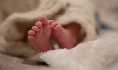 Temuan bayi